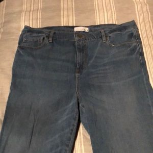 Loft Stretch Blue Jeans